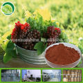 95% opc grape seed extract